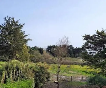 Les Embruns Du Croisic - Panorama & Cote Sauvage - * Le Croisic